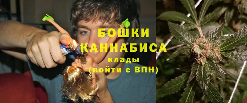 Марихуана Amnesia  купить закладку  Агидель 